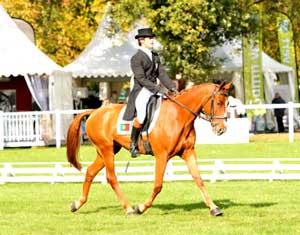 Clayton Fredericks assume a lideran&ccedil;a provis&oacute;ria no CIC1*: Francisco Seabra 54&ordm; lugar