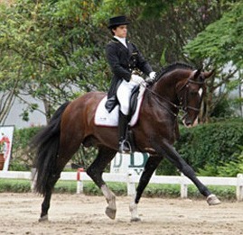 Fundação Alter Real em dificuldades financeiras