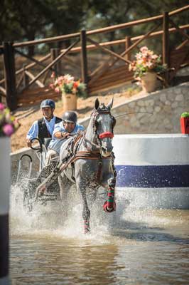 Campeonato Nacional de Atrelagem em Outubro