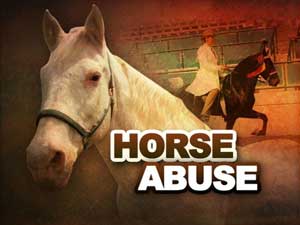 Tennessee walking horse trainer Jackie McConnell gets three years of probation