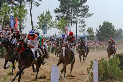 1ª Feira do Cavalo da Maia atrai centenas ao Hipódromo