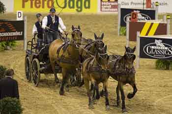 World class drivers in 2012-2013 FEI World Cup™ Driving