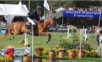 SF studbook star of the French Young Show Jumping Horses Finals
