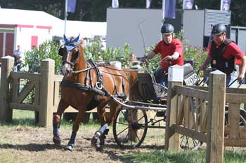 Heiner Lehrter successfully defends title at FEI World Para-Equestrian Driving Championships in Breda