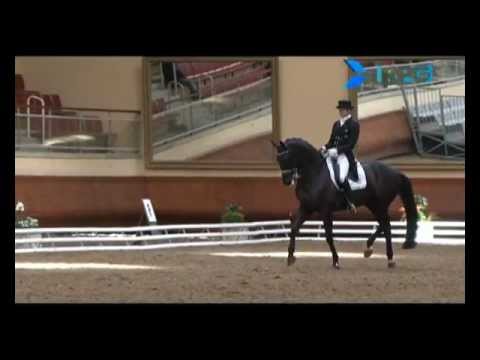 Edward Gal e Glocks Undercover - Grand Pr&eacute;mio - Saumur