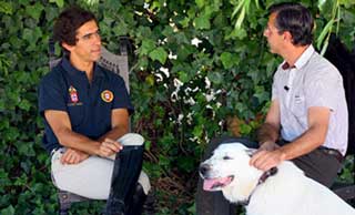 Gon&ccedil;alo Carvalho em Falar de Cavalos