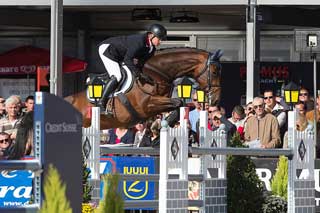 Holsteiner, Belgian Warmblood and Oldenburg Studbooks Clinch Gold at Lanaken