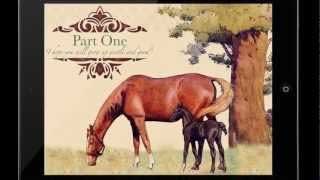 Versão em Ipad do livro «Beleza Negra»