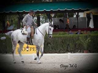 Jos&eacute; Manuel Mart&iacute;n Campe&atilde;o de Espanha de Doma Vaquera 2012 (v&iacute;deo)
