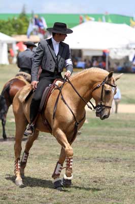 VII Jornada de Equita&ccedil;&atilde;o de Trabalho em Azeit&atilde;o