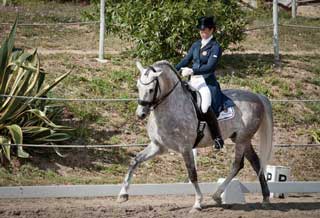 126 Conjuntos no CDN e Poule da Beloura