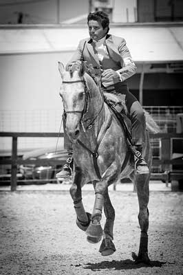 Resultados da Jornada do Campeonato Regional de Equitação de Trabalho - Golegã