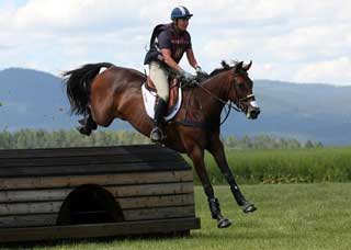 Karen O'Connor sofre queda rotacional em Morven Park