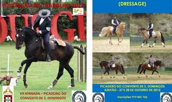 Equita&ccedil;&atilde;o de Trabalho e Poule de Ensino em Azeit&atilde;o