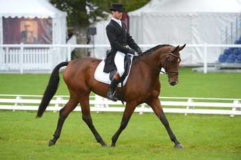 Francisco Seabra em oitavo lugar provis&oacute;rio em Fran&ccedil;a