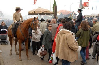Transações de cavalos na Feira da Golegã refletem crise