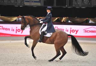 Riwera de Hus has been elected «Horse of the Year 2012 »