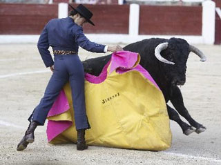 Brasileiros em Salamanca para aprender a arte de tourear