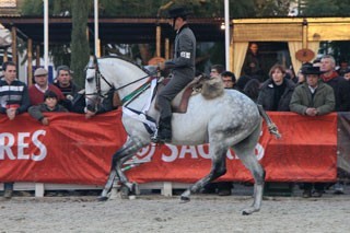 «Ahoto» Campeão dos Campeões na Golegã