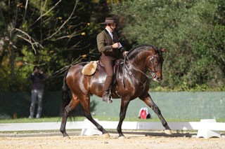 Ordens de Entrada para a Ta&ccedil;a de Portugal de Equita&ccedil;&atilde;o de Trabalho