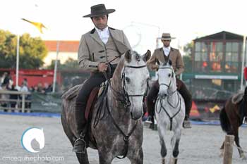 Campeonato Nacional de Equita&ccedil;&atilde;o de Trabalho decide-se na Beloura