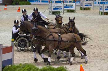 Boyd Exell wins second FEI World Cup™ Driving qualifier in Stuttgart