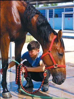 O Centro Hípico Dom Cavalo de olhos postos na China...