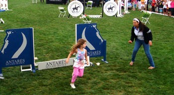 Imaginação em tempos de crise – Agora saltos sem Cavalos...