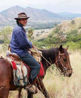 Gwladys Lecarpentier atravessa Portugal a cavalo