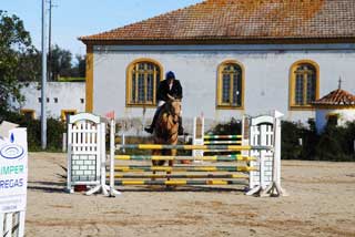 CCE, da o pontap&eacute; de saida, nas comemora&ccedil;&otilde;es da Coudelaria de Alter