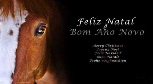 Equisport Online deseja Festas Felizes