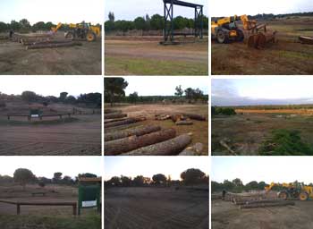 CNC* na Mata do Duque no dia 5 de Janeiro