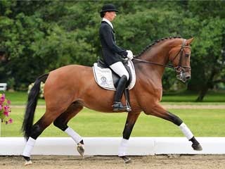 The Countdown for the 33rd Performance Sales International is on