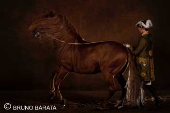 Português com menção honrosa em concurso internacional de fotografia equestre