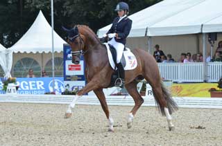 Breeding to KWPN Stallion Charmeur to Benefit Disabled