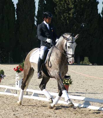 «Dragão das Figueiras» ganha a final para cavalos de 5 Anos
