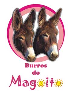 Curso de Equitação Natural - Sintra