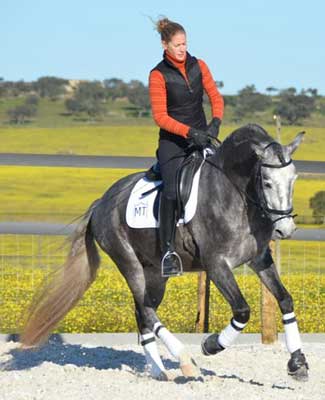 Para Venda - Equinócio do Monte da Tramagueira (vídeo)