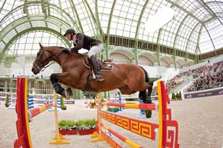 22 Novos garanhões admitidos ao Livro Genealógico do SF (vídeo)