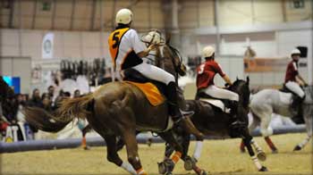 Quinta do Pinheiro Líder Provisório