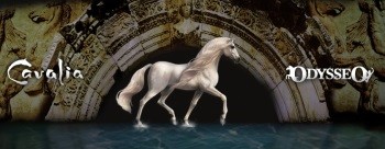 For those who dream of horses: Cavalia's Odysseo (video)