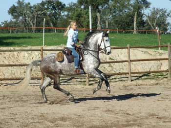 Percal&ccedil;o de S&oacute;nia Matias em casa
