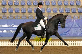 Be the Influence Equestrian Grand Final qualifying series