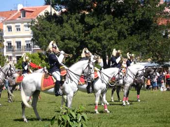 300 Cavalos Lusitanos para a Jordânia