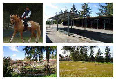 Luciana Diniz e Luís Principe inscritos no Indoor de Brabant
