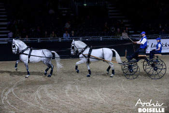 Tandem-Quadrille of the European State Studs at Equitana (V&iacute;deo)