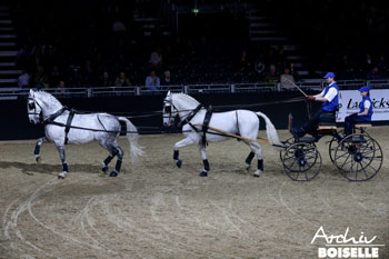 Tandem-Quadrille of the European State Studs at Equitana (Vídeo)