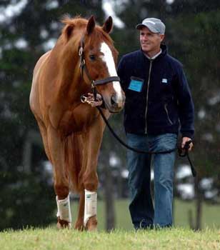 Norma curiosa da FEI cria pol&eacute;mica