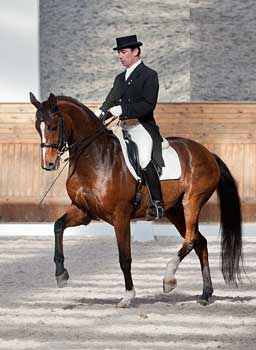 Charlotte Dujardin mantém o 1º lugar do Ranking Mundial: Filipe Canelas Pinto o melhor português