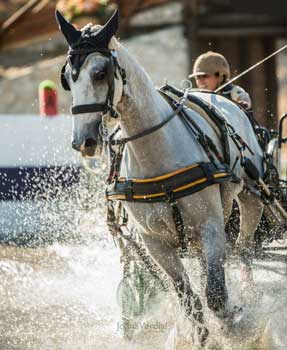 Filipa Apolinário e Frederico de Beck no pódio da 1ª etapa da Taça Ibérica